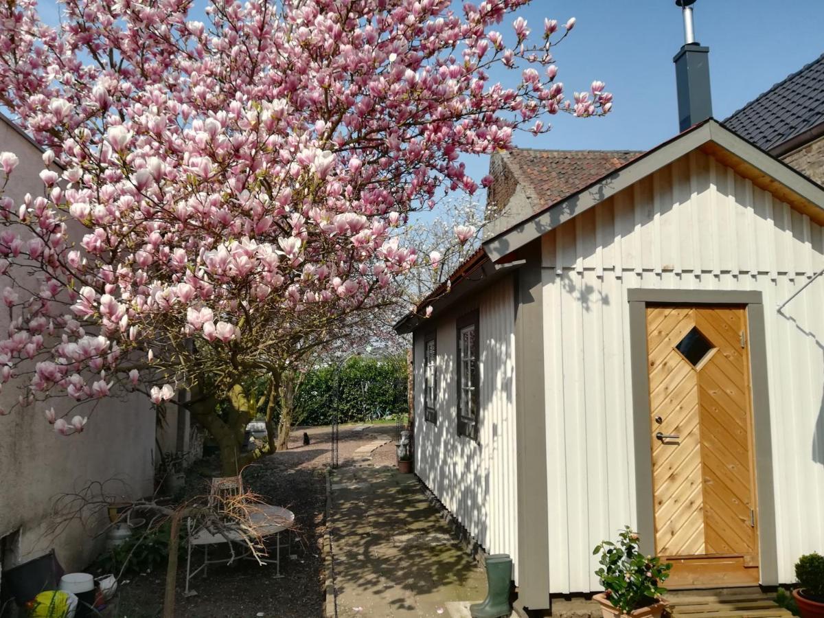 Apartamento Schwedenliebe Frechen Exterior foto